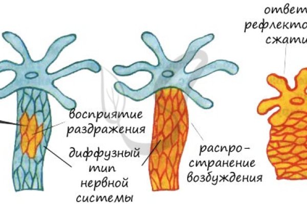 Кракен через тор